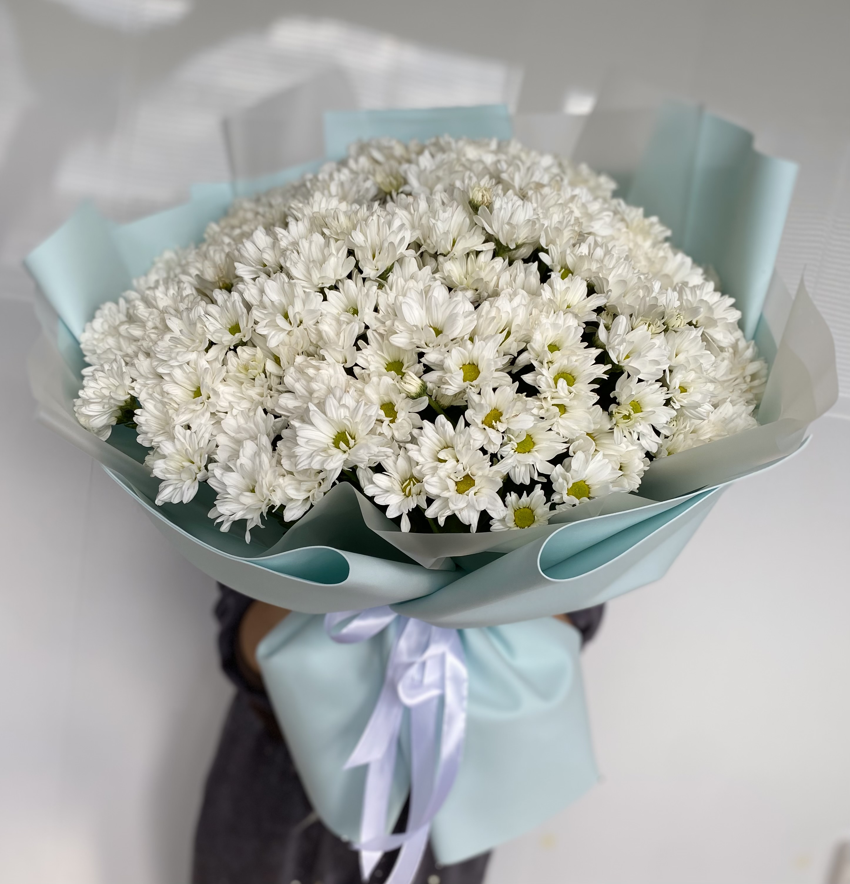 Хризантемы белые ромашки